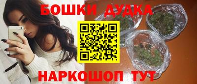 винт Дубна