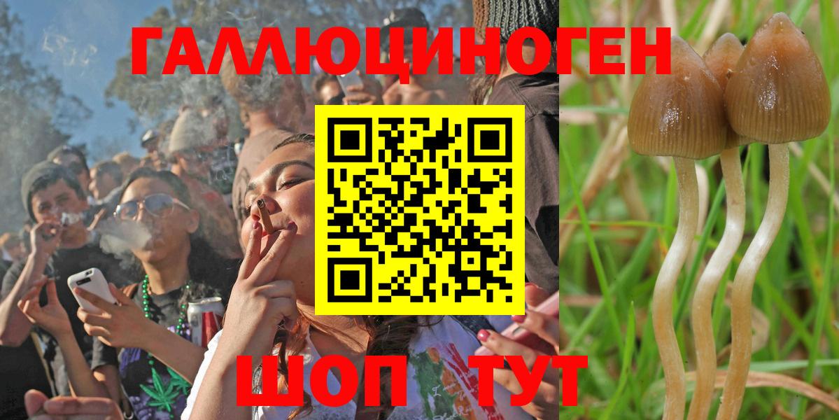 Партизанск  Псилоцибиновые грибы ЛСД  Псилоцибиновые грибы Magic Shrooms  закладка  Вход с VPN 